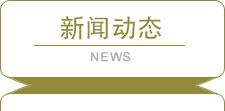 新聞動态